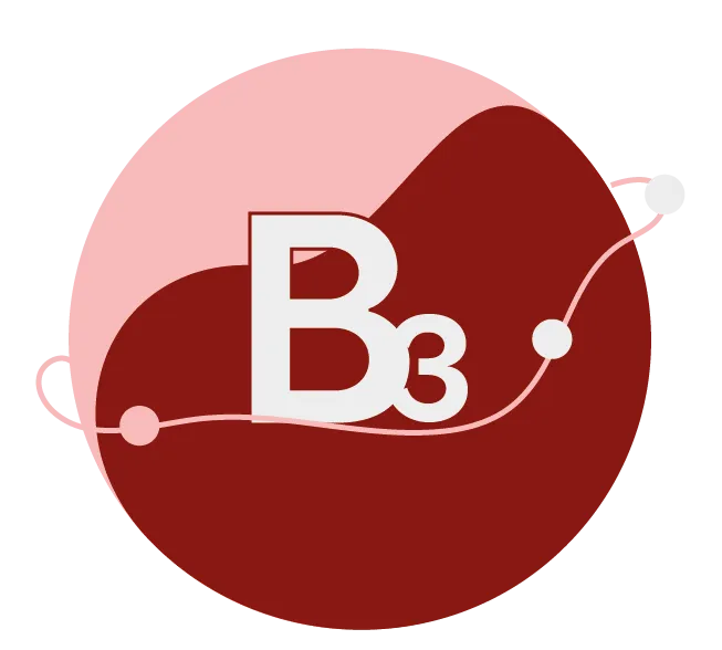 Fórmula B3